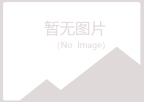 黟县夏岚金属有限公司